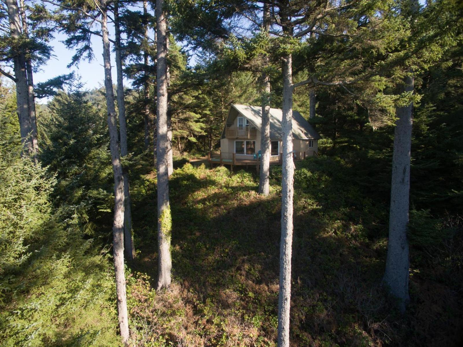 The Cedar House Villa Otter Rock Dış mekan fotoğraf